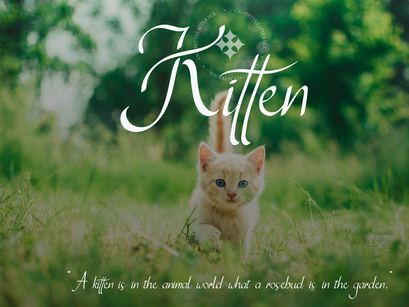 Cigarettes Script Font