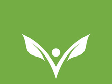 Leaf logo green nature vector image