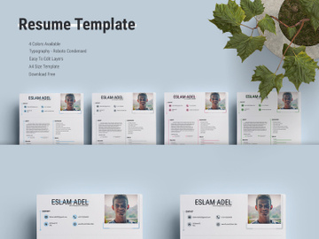 RESUME TEMPLATE preview picture