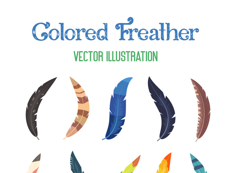 Colored feather wing set, boho feathers birds vintage vector collection