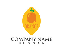 Orange logo design Vector icon illustration design