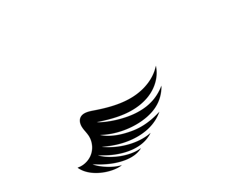 Wing illustration logo and symbol vector