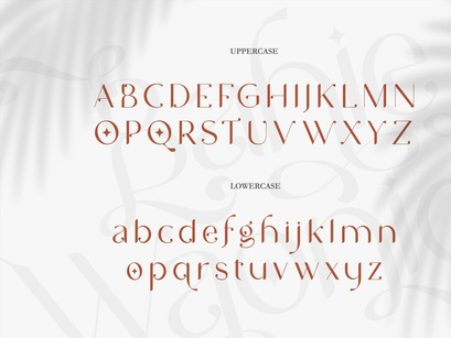 NCL BAHIE WAONID - STYLISH TYPEFACE