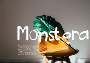 Creative Designer