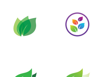 Natural green leaf logo design. preview picture