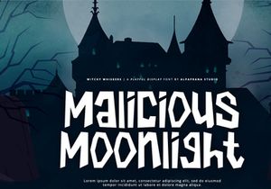 Witchy Whiskers - Playful Font