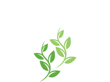 Logos of green tree leaf ecology nature element vector