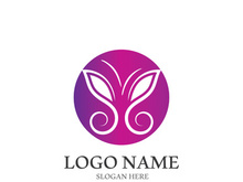 Butterfly logo icon vector design illustration