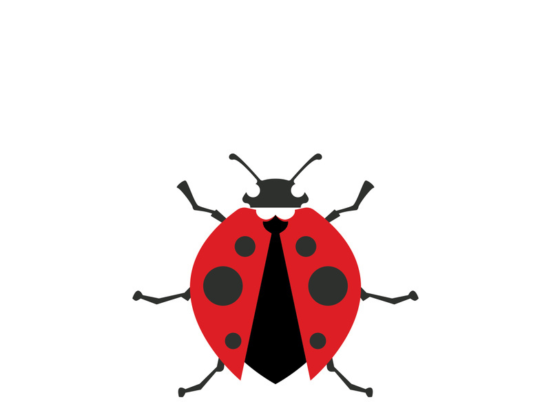 ladybird animal  vector logo symbol icon