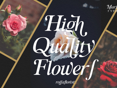 Marjourry modern serif display font
