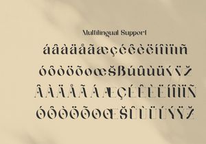 Afteris Moghu Modern/Vintage Font