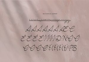 Dohemika | Handwritten Script