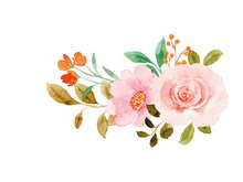 Vector Flower Watercolor Illustration