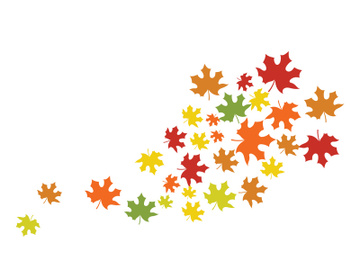 Maple Leaf design illustration preview picture