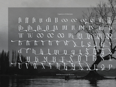 Drogel | Display Serif Font