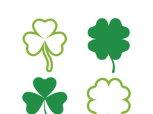 Green Clover Leaf icon Template Design Vector