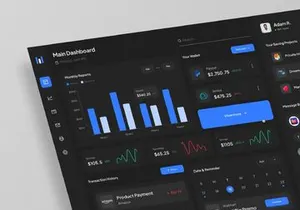 Waizer v1.0 - Digital Wallet and Remittance App and Website with Admin Panel
