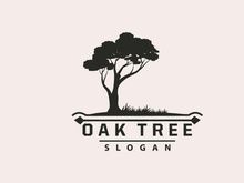 Oak Tree Logo, Nature Tree Plant Vector, Minimalist Simple Design