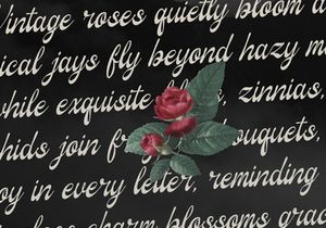 Marcella Wishes | Vintage Script