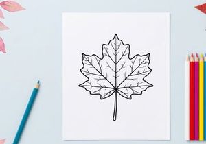 Ilustrasi daun maple yang detail. Gambar botani elegan untuk proyek desain
