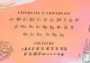 Amellis Path - Brush Script Font