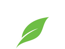 leaf logo green ecology nature element vector imag