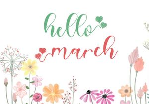 Best Spring