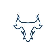 Bull head logo vector icon design illustration