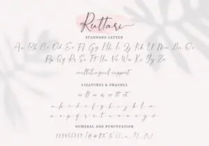 Ruttari // Chic Handwritten Font