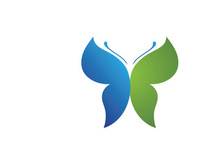 Beauty Butterfly Vector icon design