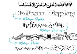 Mollusca Font Trio | Doodle Font