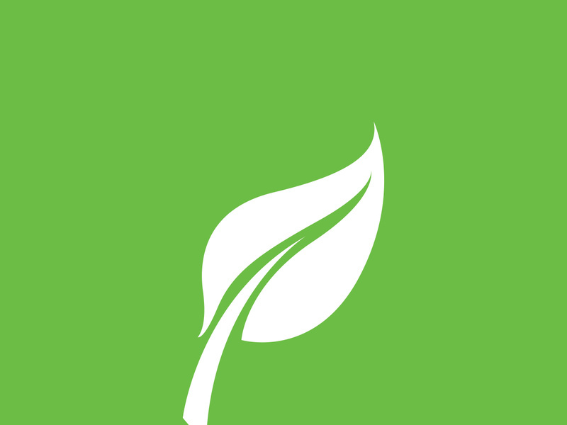 Leaf logo green nature vector image