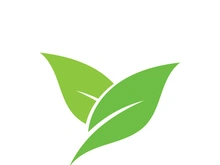 leaf logo green ecology nature element vector image
