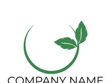 Green leaf logo design vector illustration