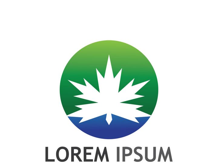 Maple leaf logo design with creative idea