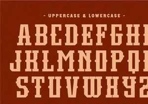 True Story - Western Slab Serif Font