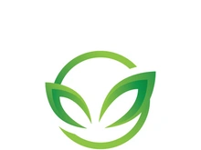 Green leaf logo design template modern leaf logo vector