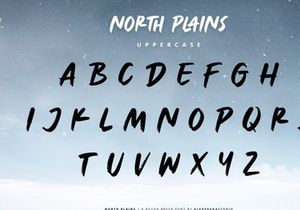 North Plains - Rough Brush Font