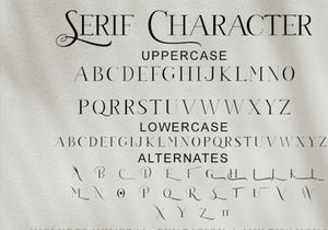 Free Demo Gutten Fighter Font Duo
