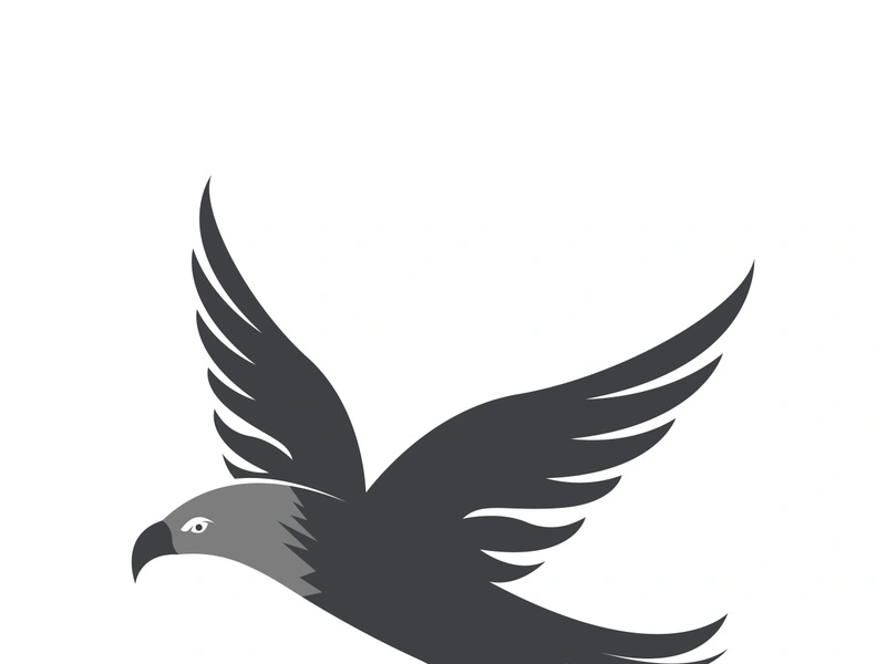Falcon logo template vector illustration design
