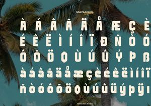 Fredoka Summer | Bold Display Sans