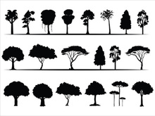 Trees Silhouettes Collection