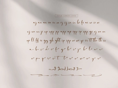 Fortune Messenger | Handwritten Script