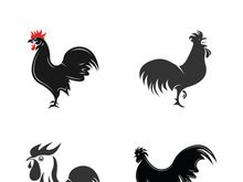 Rooster logo icon vector and symbol template design illustration
