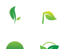 Natural green leaf logo design.