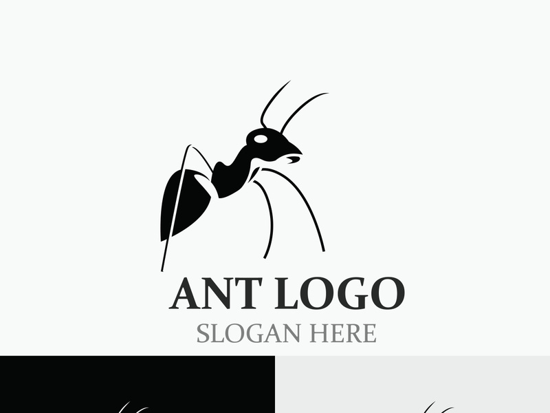 Ant logo design silhouette. Isolated animal ants on background design template vector