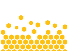 Bee icon design illustration