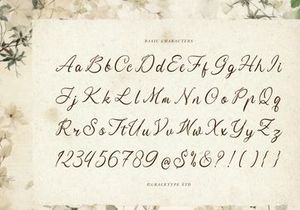 Serphina Lawliam | Handwritten Vintage Script