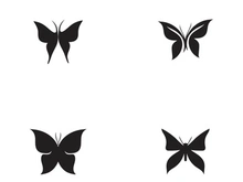 Butterfly icon design