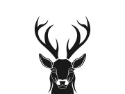 Deer logo template vector icon illustration design